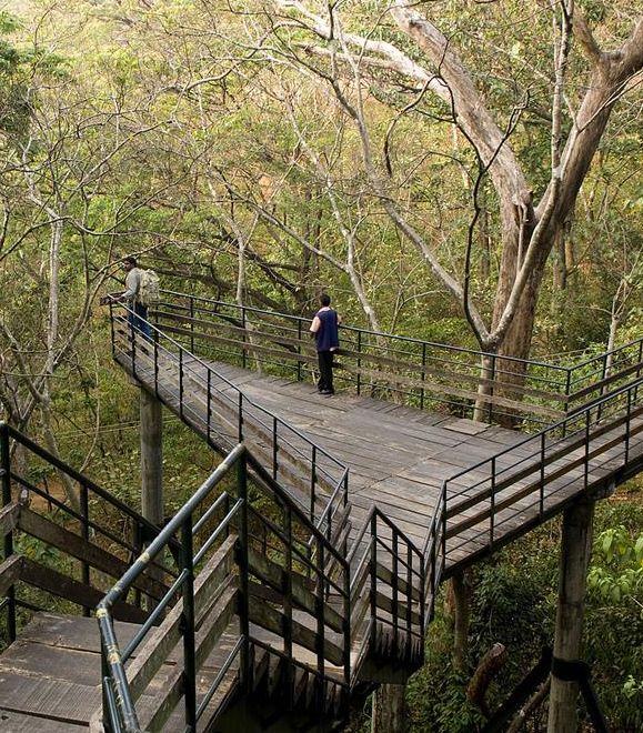 Kerala DMC Tour Agent Operator - Cochin Thenmalai Trekking